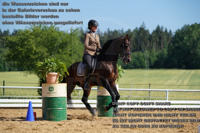 s_K3F05644.JPG
